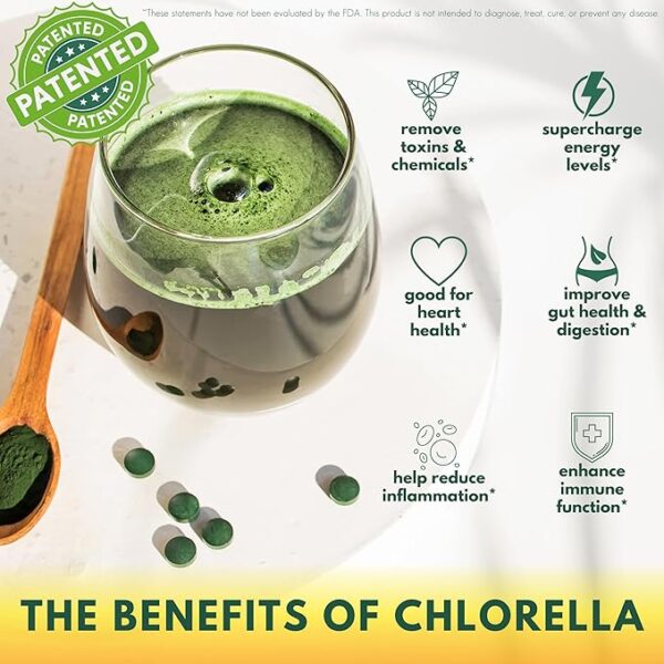 Sunlit Best USDA Organic Chlorella Powder - Green Algae, - Image 3