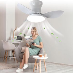 Coupon:       Apply 50% coupon;- AHWEKR 25 inch White Ceiling Fans with Lights and Remote Control, Dimmable 3-Color Temperatures LED Ceiling Fan